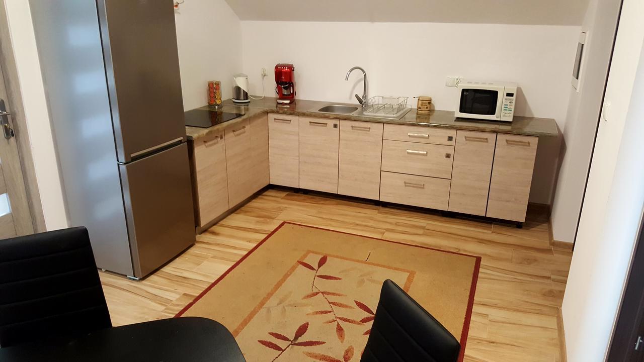Apartamenty Daisy Goczałkowice-Zdrój المظهر الخارجي الصورة